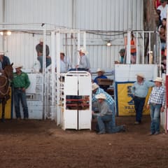 DSC_0220.jpg