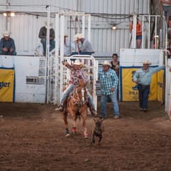 DSC_0195.jpg
