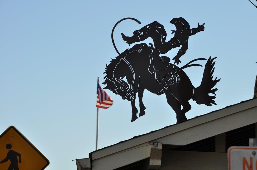 Rodeo in Oregon