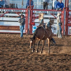 DSC_0109.jpg