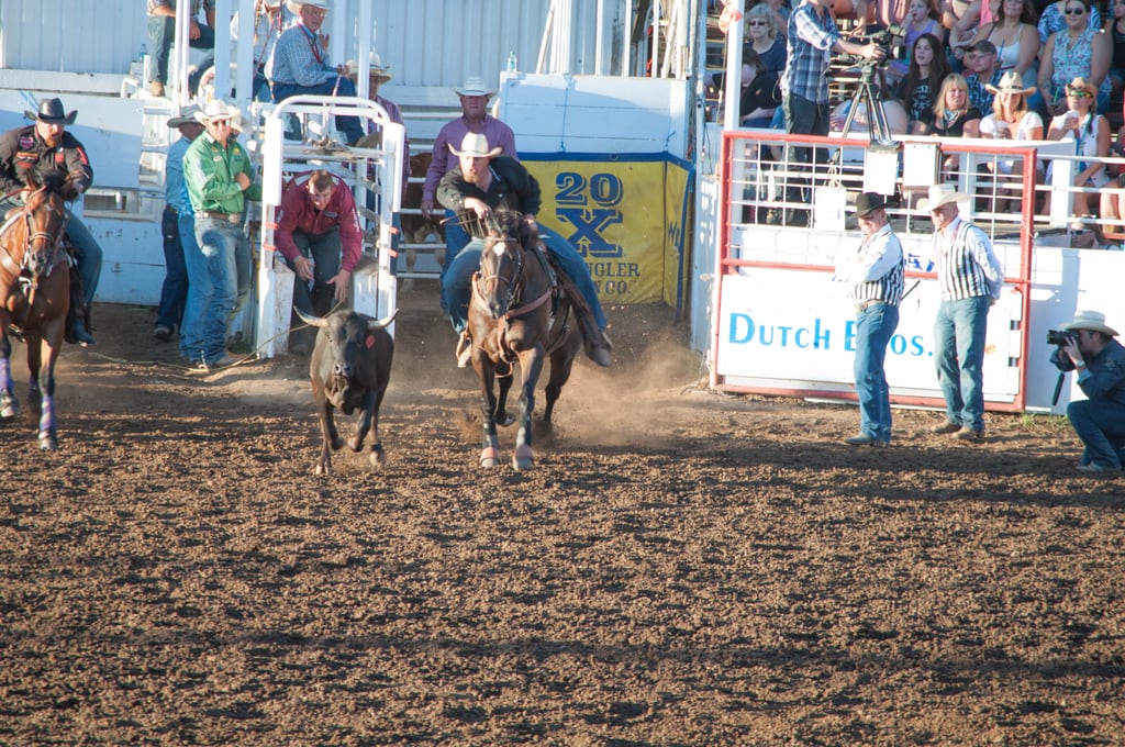 DSC_0129.jpg