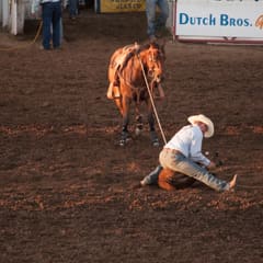 DSC_0194.jpg