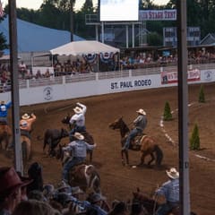 DSC_0286.jpg