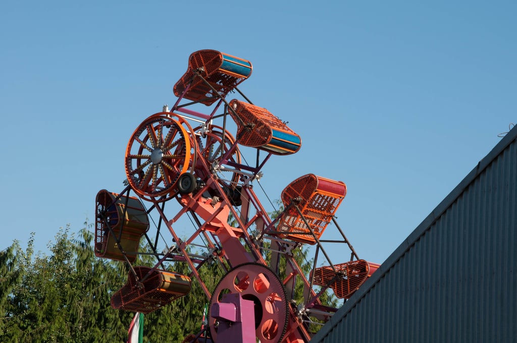 DSC_0011.jpg