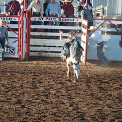 DSC_0103.jpg