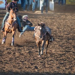 DSC_0130.jpg
