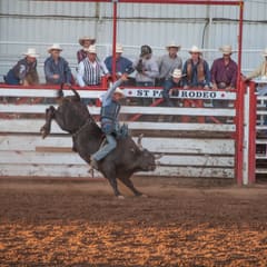 DSC_0167.jpg