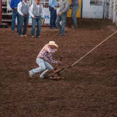 DSC_0198.jpg