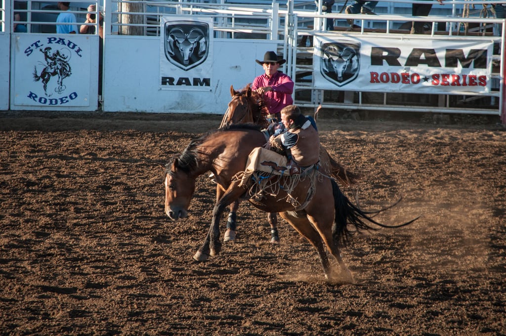 DSC_0110.jpg
