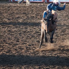DSC_0113.jpg