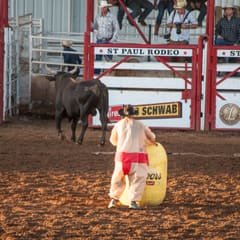 DSC_0172.jpg