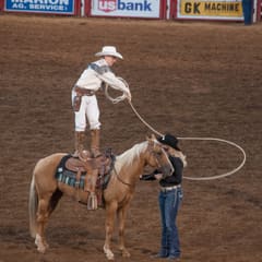 DSC_0256.jpg
