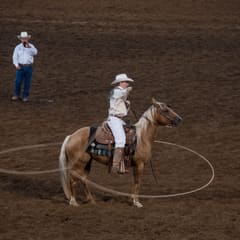 DSC_0278.jpg