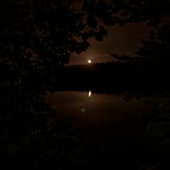 Moon in water