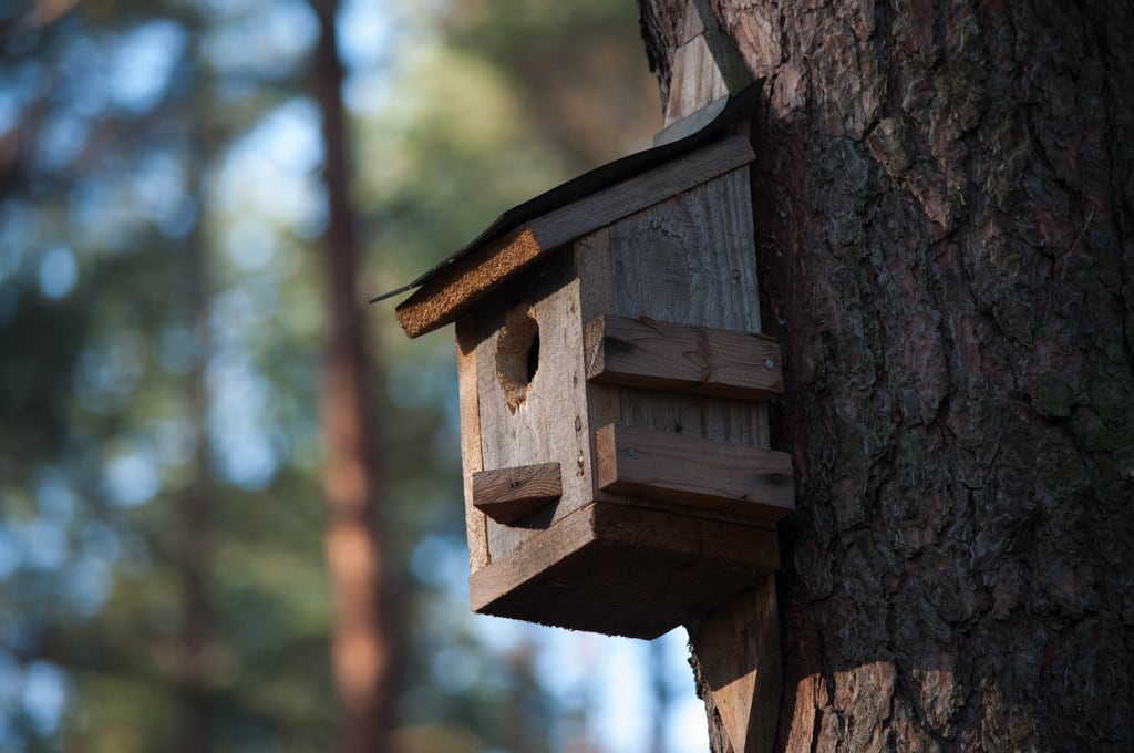 Birdhouse