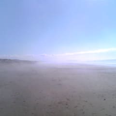 Frühling am Strand