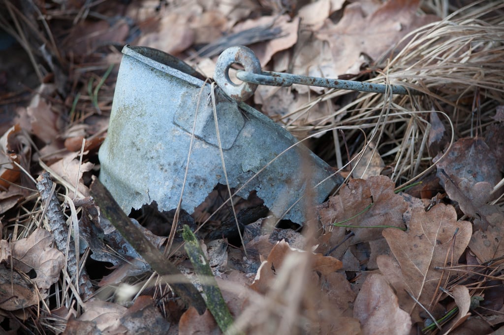 Old bucket in forrest