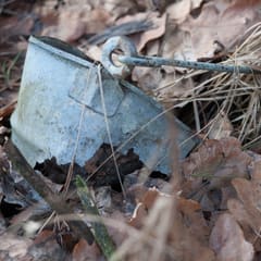 Old bucket in forrest