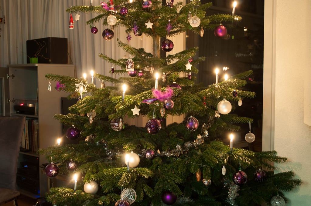 Christmas tree in Switzerland