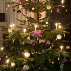Christmas tree in Switzerland