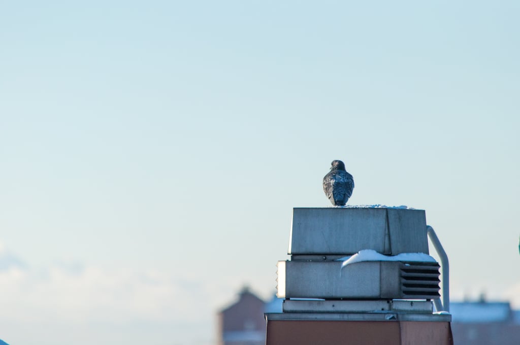 Winter above Varbergs roofs