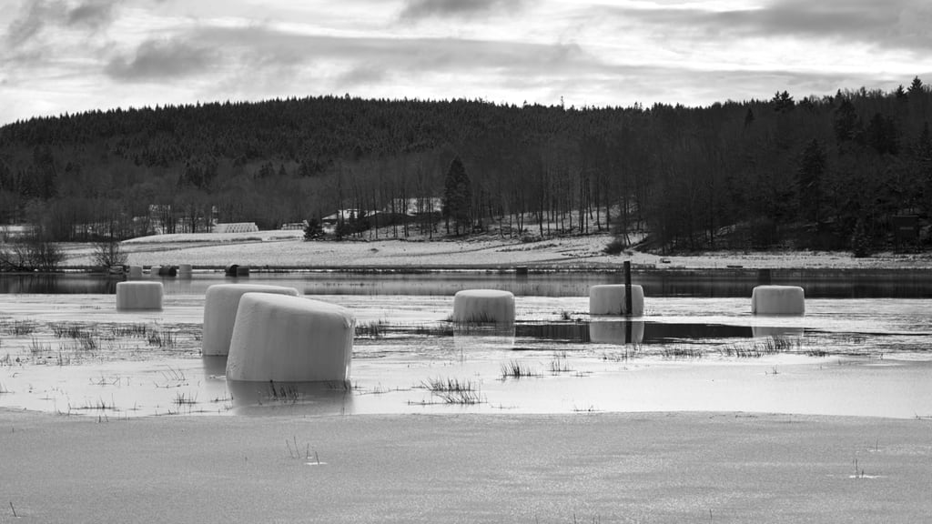 Hay in Ice