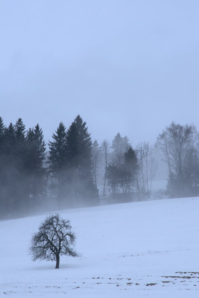 Winter Bachtel