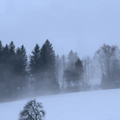 Winter Bachtel