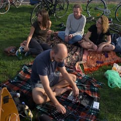 Pulsar Collective