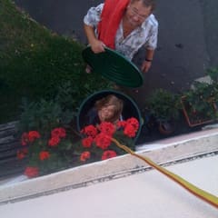 In der Wassertonne