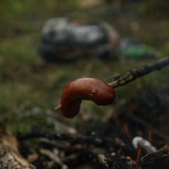 Sausage over fire