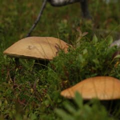 IMG_0020