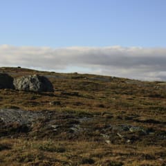 _MG_0090