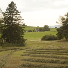 _MG_0106