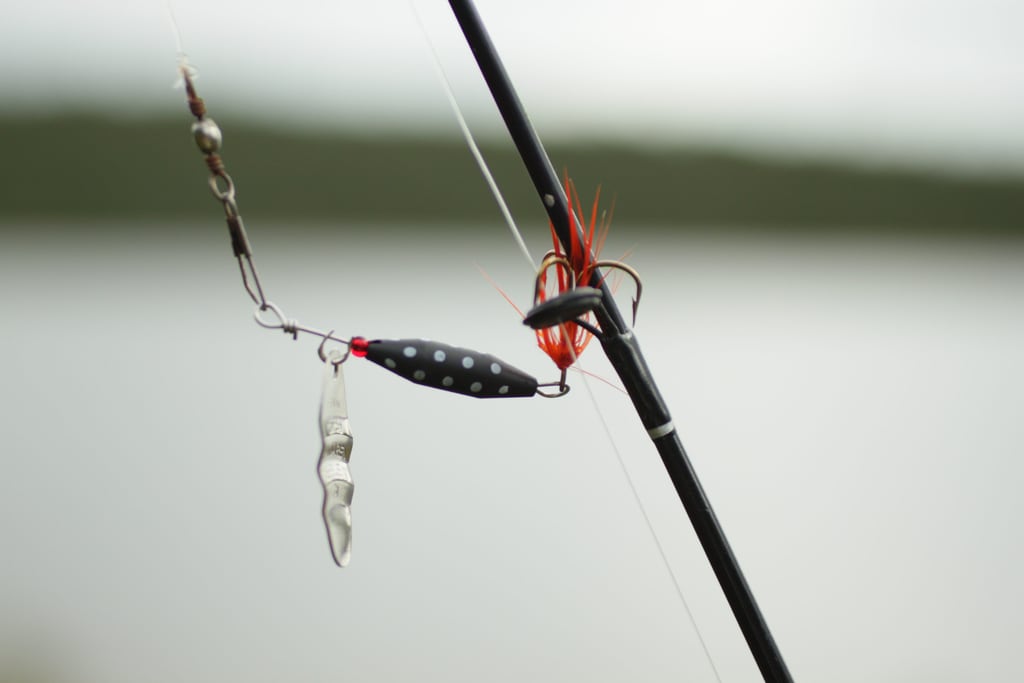 Spinner to fish in a lake