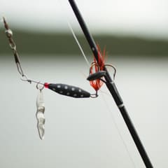 Spinner to fish in a lake
