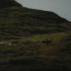 _MG_0242