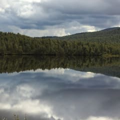 vattenyta-spegling