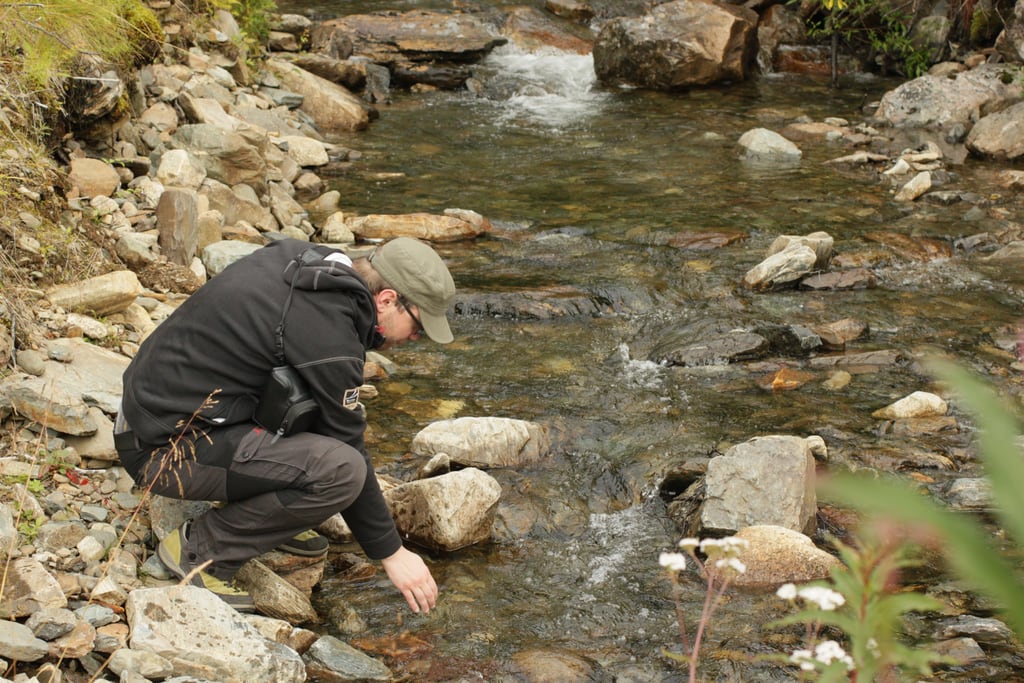 Drinking from a stream