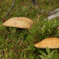 IMG_0019