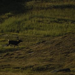 _MG_0251