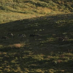 _MG_0276