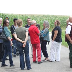 IMG_0364