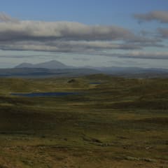 _MG_0077