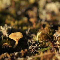 _MG_0107