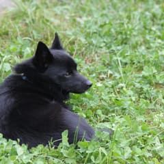 IMG_0309