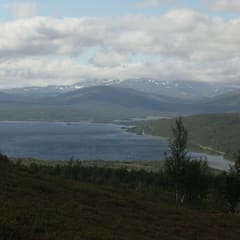 Panorama in the swedish mountains