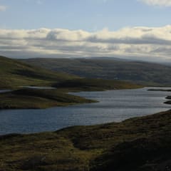 _MG_0095