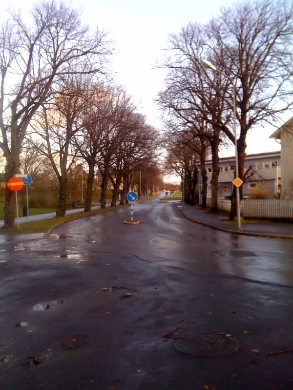 Winter