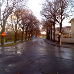 Winter